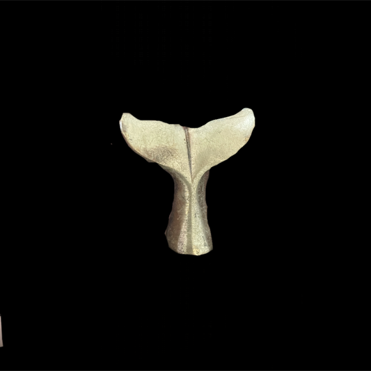 Metallic whale tail sculpture on a black background