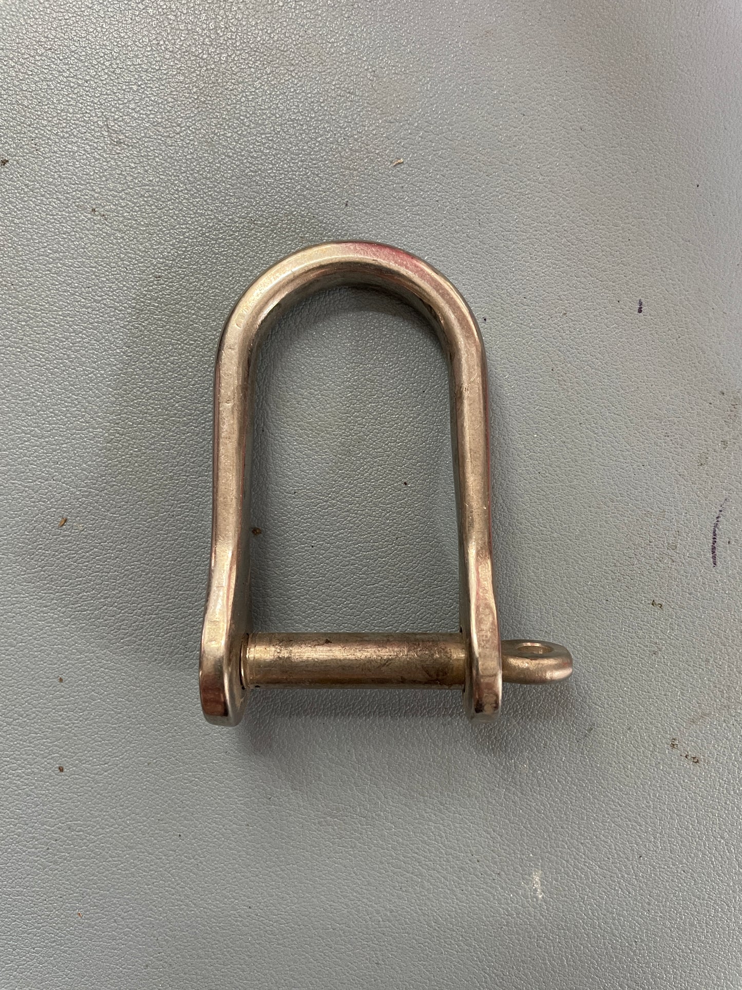 Stainless Steel D Shackle - 1 1/4" Width