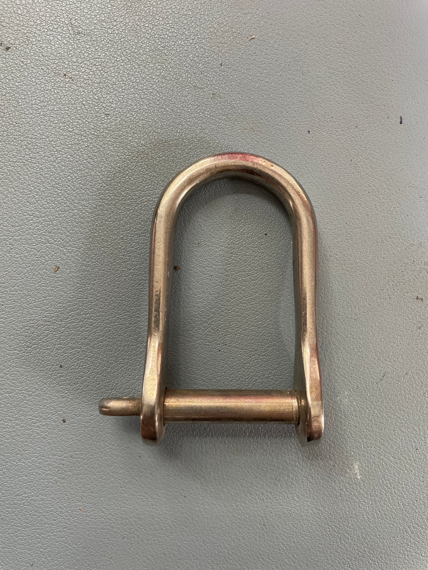 Stainless Steel D Shackle - 1 1/4" Width