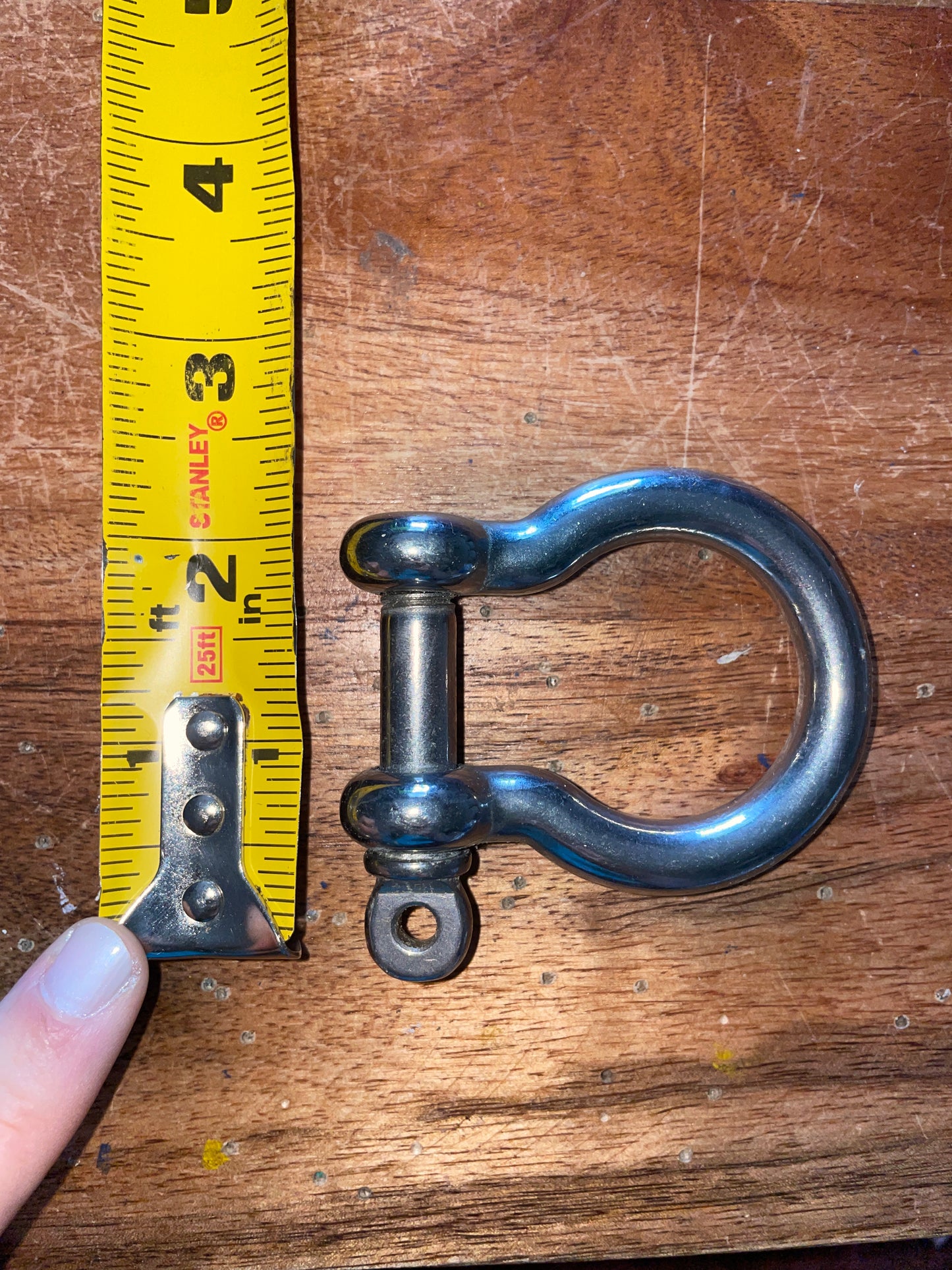 Large Stainless Steel D Ring Shackle - 7/8” Width