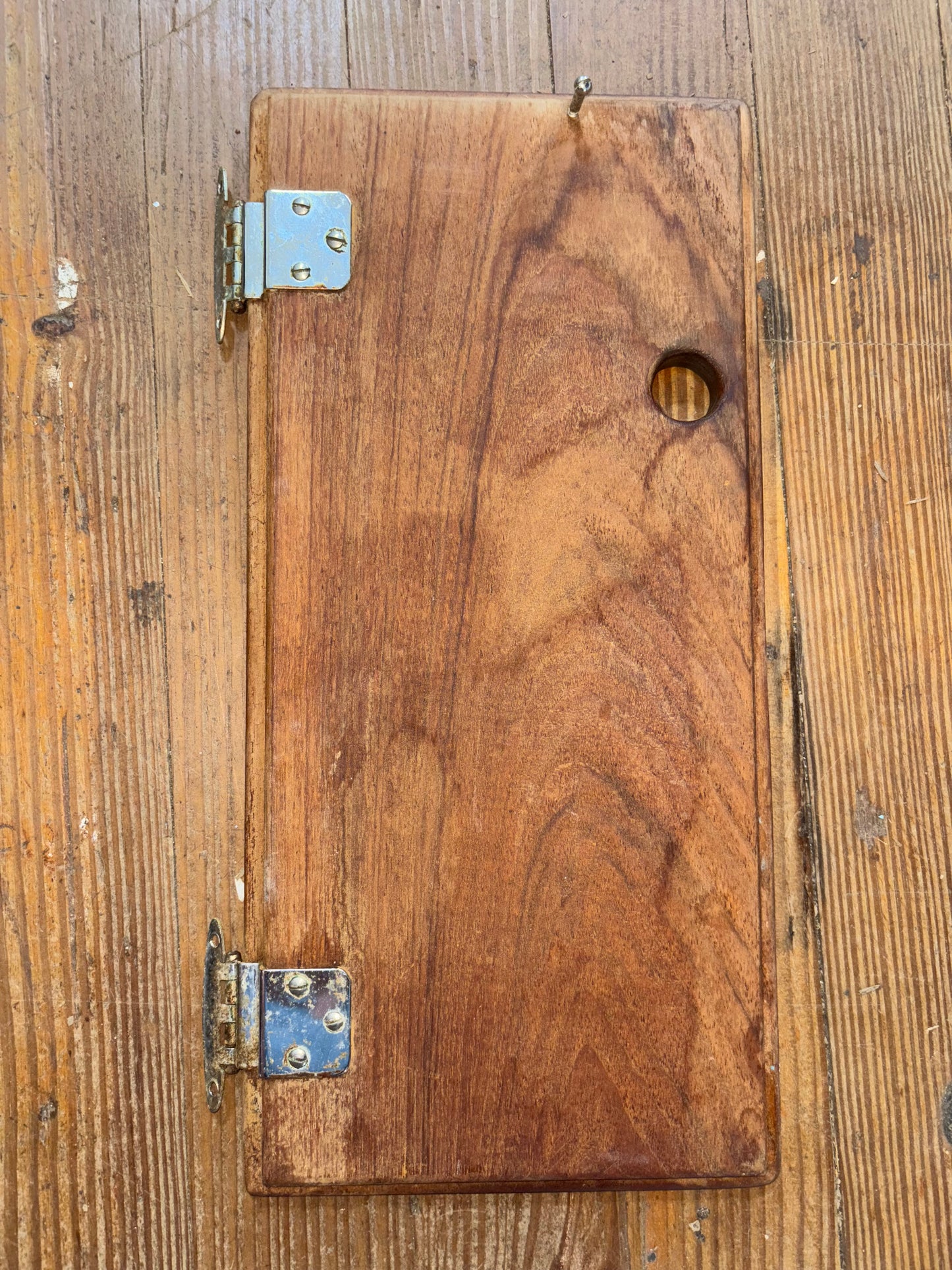 Right Side Interior Cabinet Door - 16 3/4" Long x 8" Wide -- #4