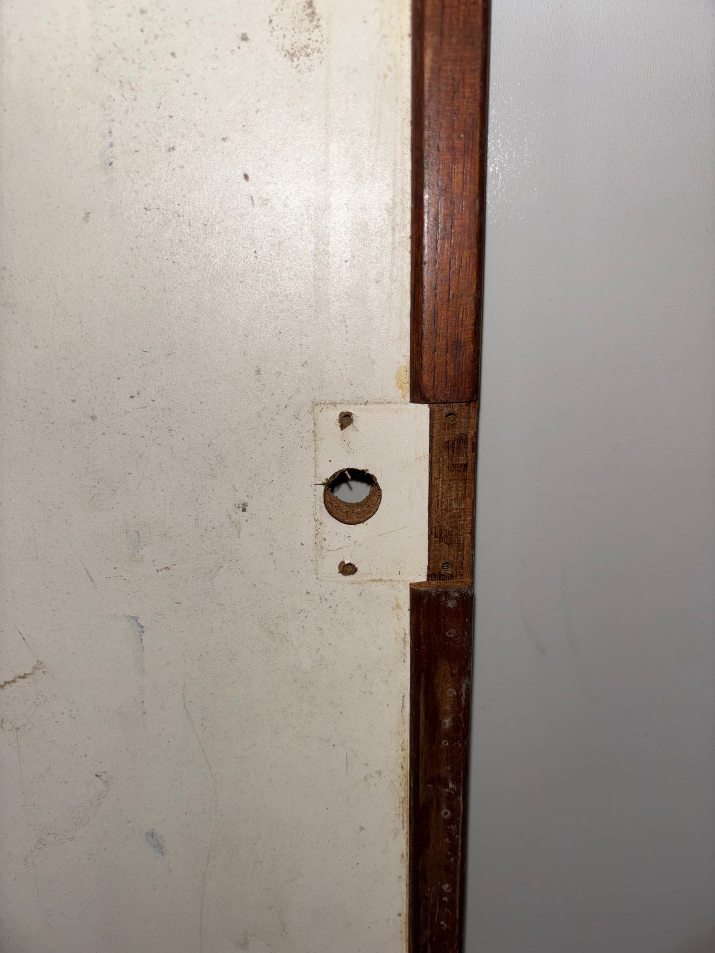 Sabre 42 Interior Door - 52 5/8" x 22" x 1 1/8" - NO HANDLE -- #6