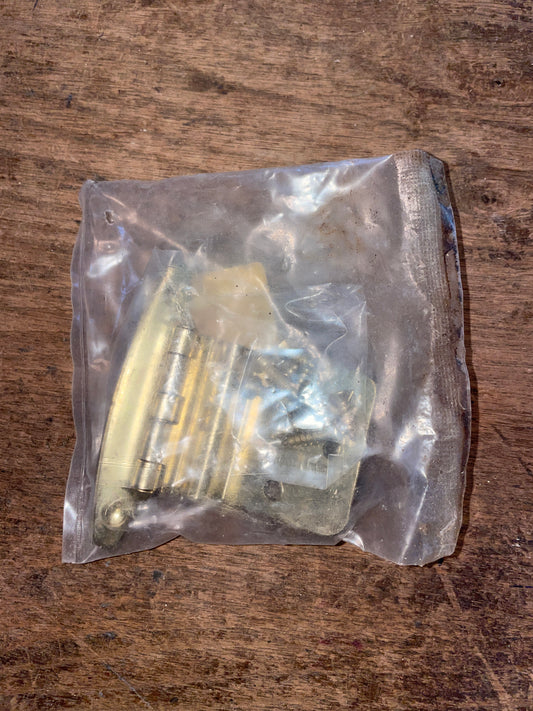 PAIR Liberty Hardware Gold Hinges- NEW