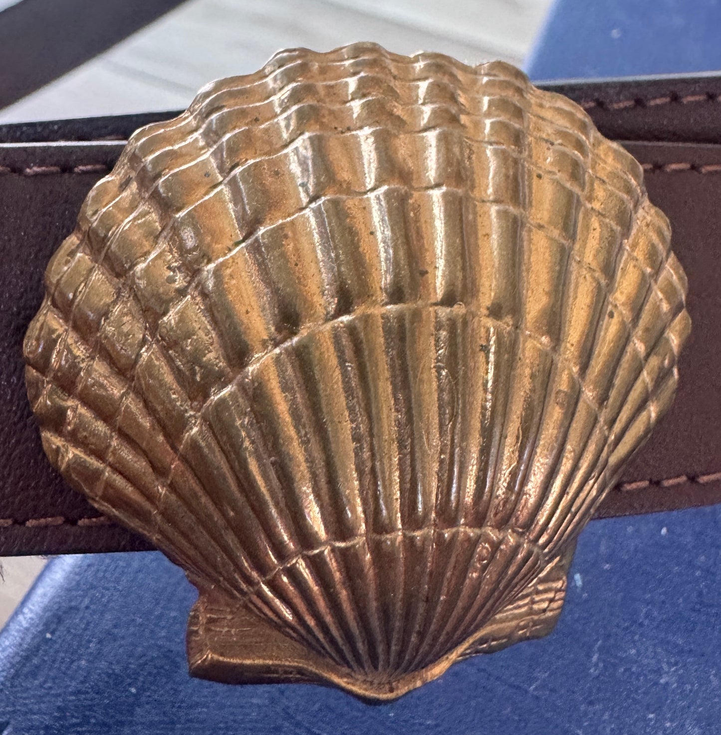 Solid Bronze Seashell Belt Buckle - Made in USA