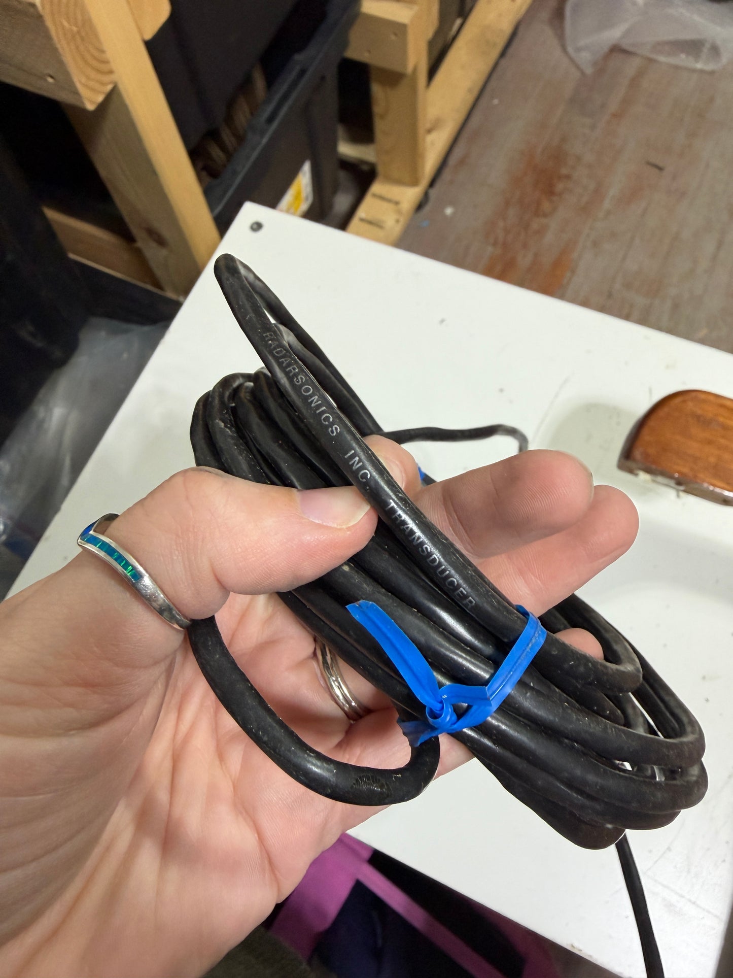 Radarsonics Inc. Transducer