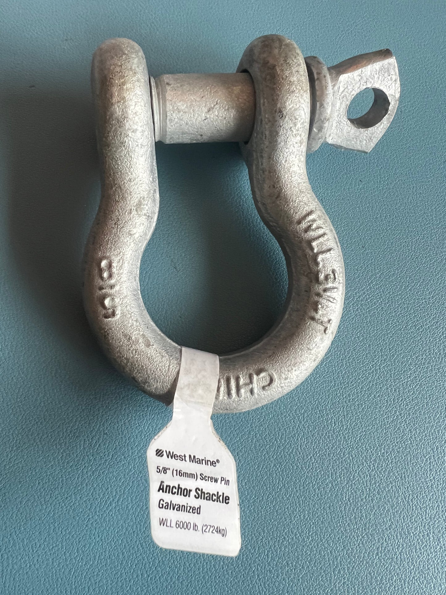 5/8" Anchor Shackle, Screw Pin, Hot Galvanized