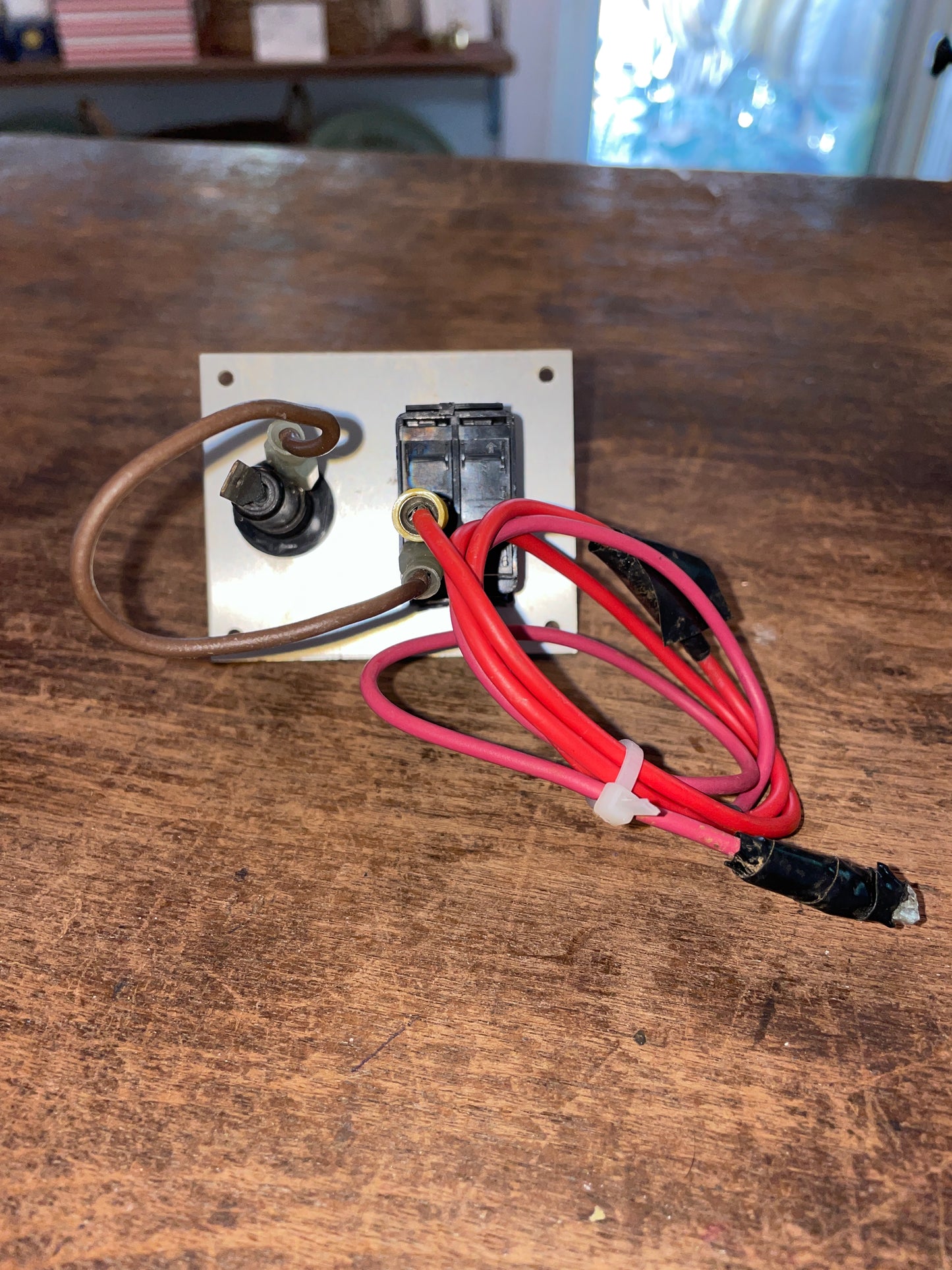 Johnson Wash Down Pump Switch