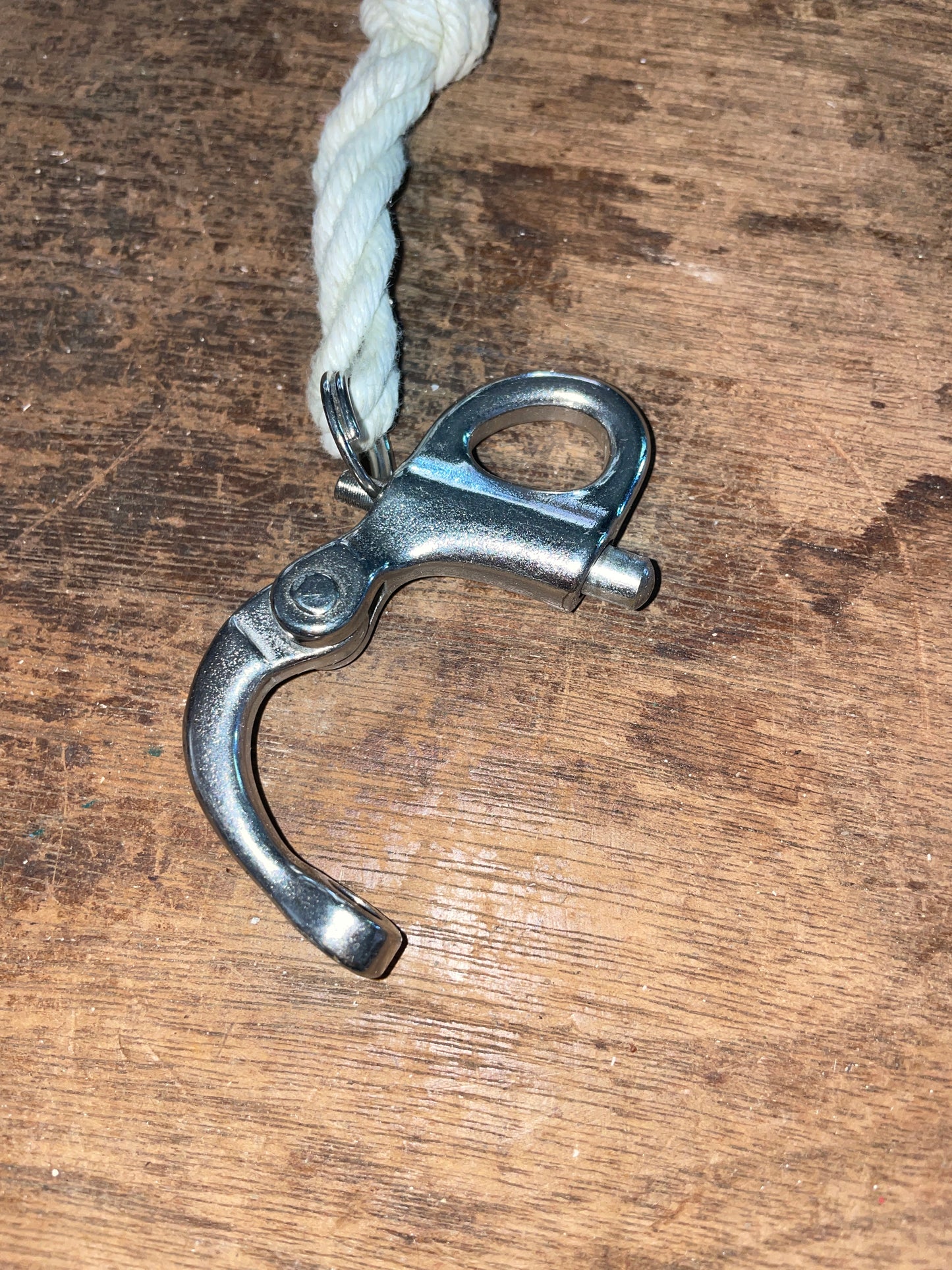 Stainless Steel Fixed Bail 5/8” Shackle