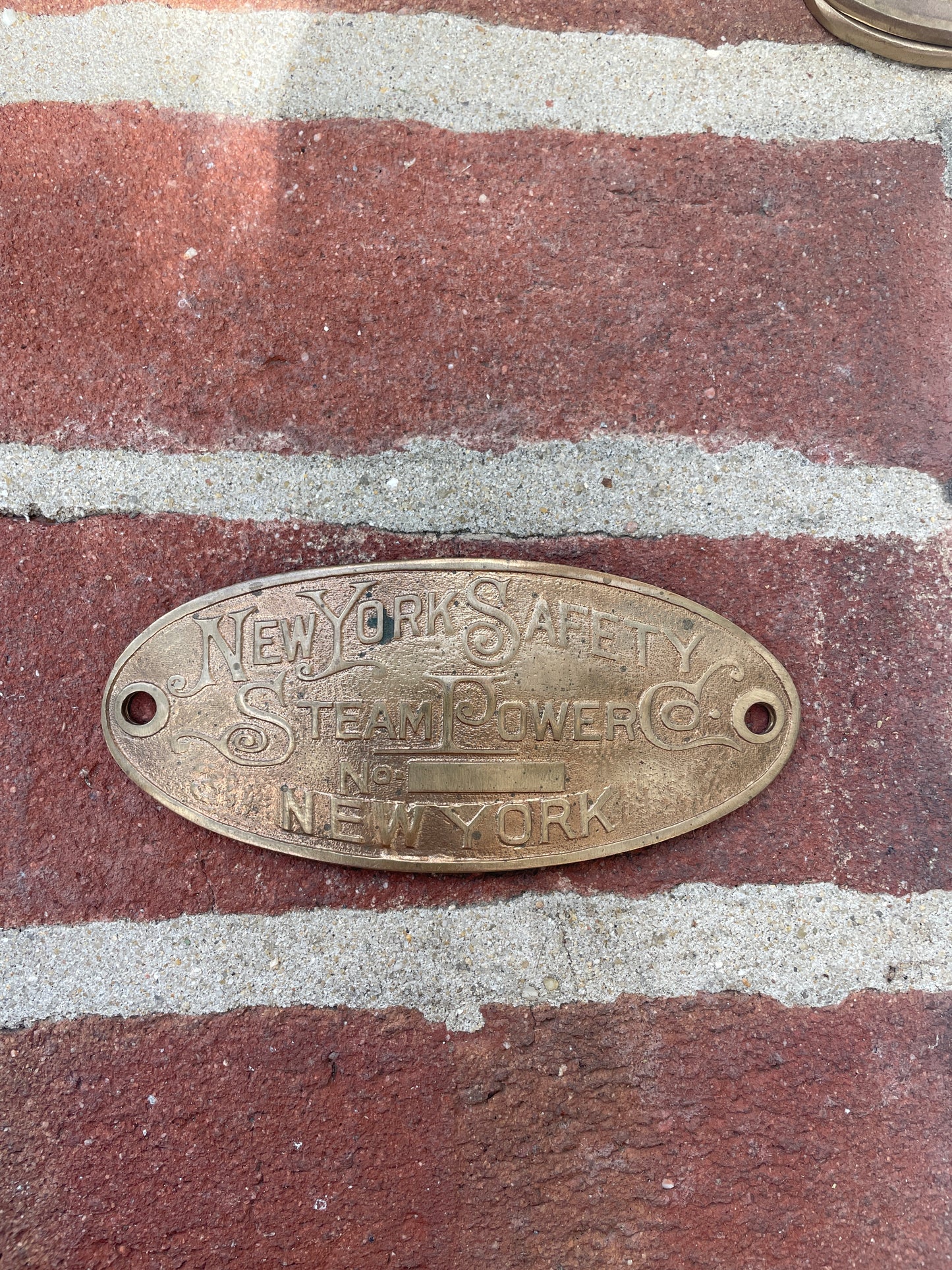 New York Safety Steam Power Plate