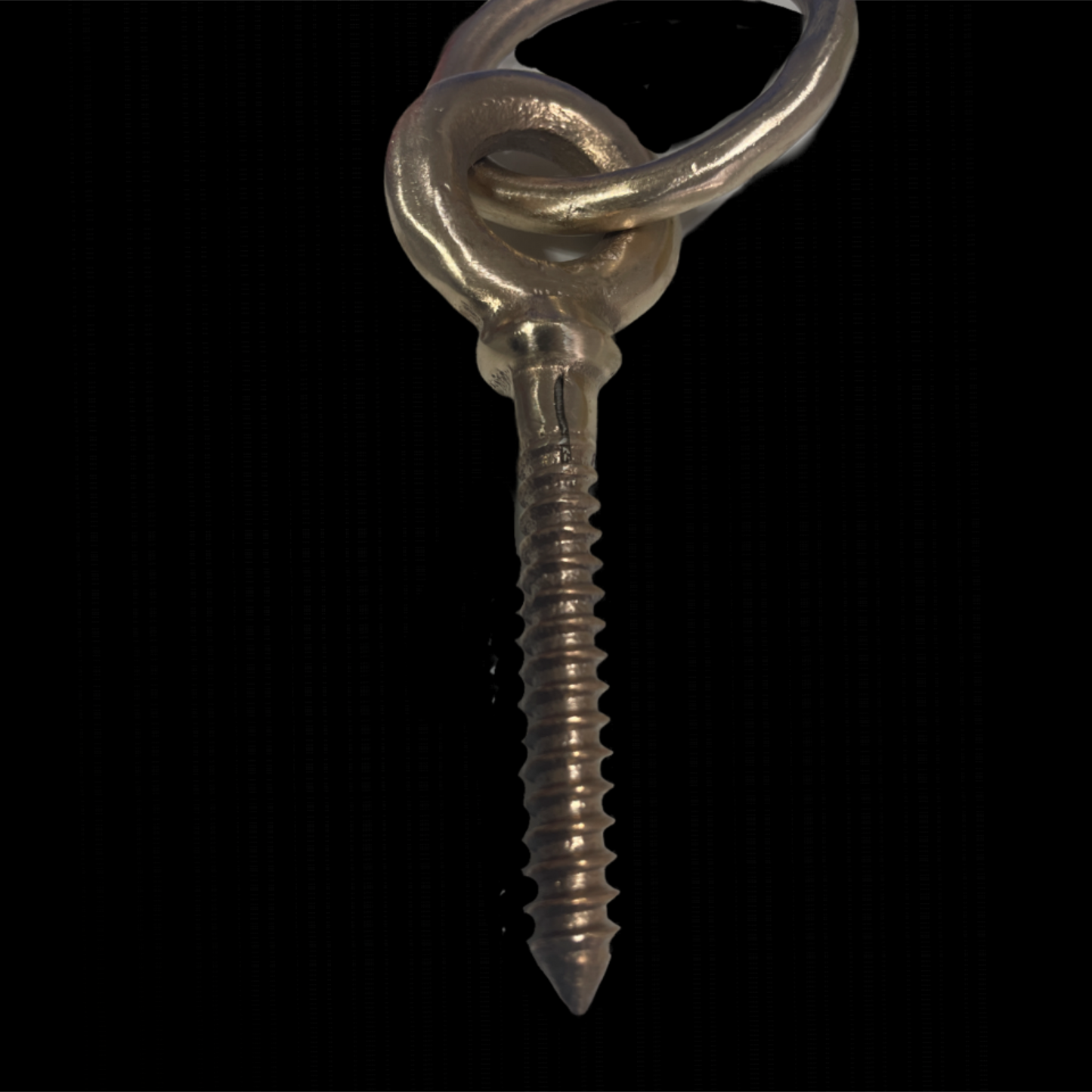Metal screw with eye bolt on a black background