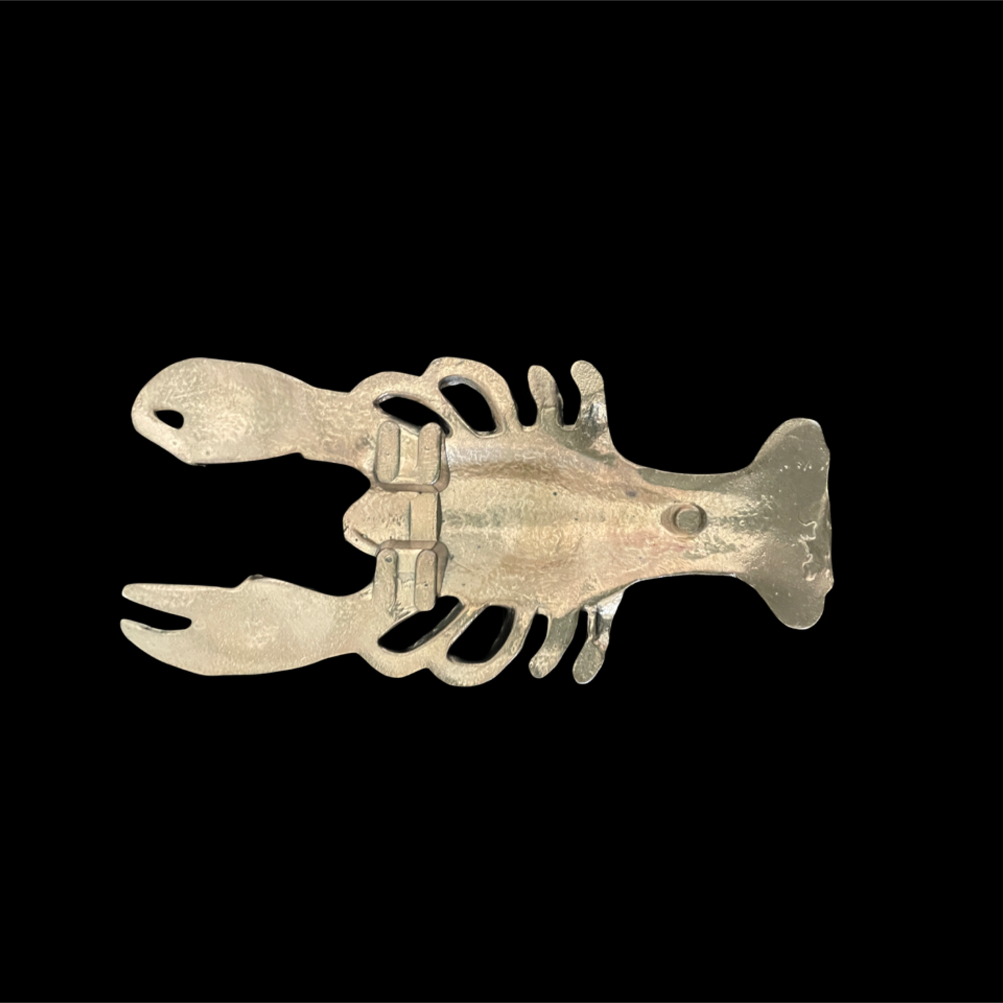 Metallic lobster-shaped object on a black background