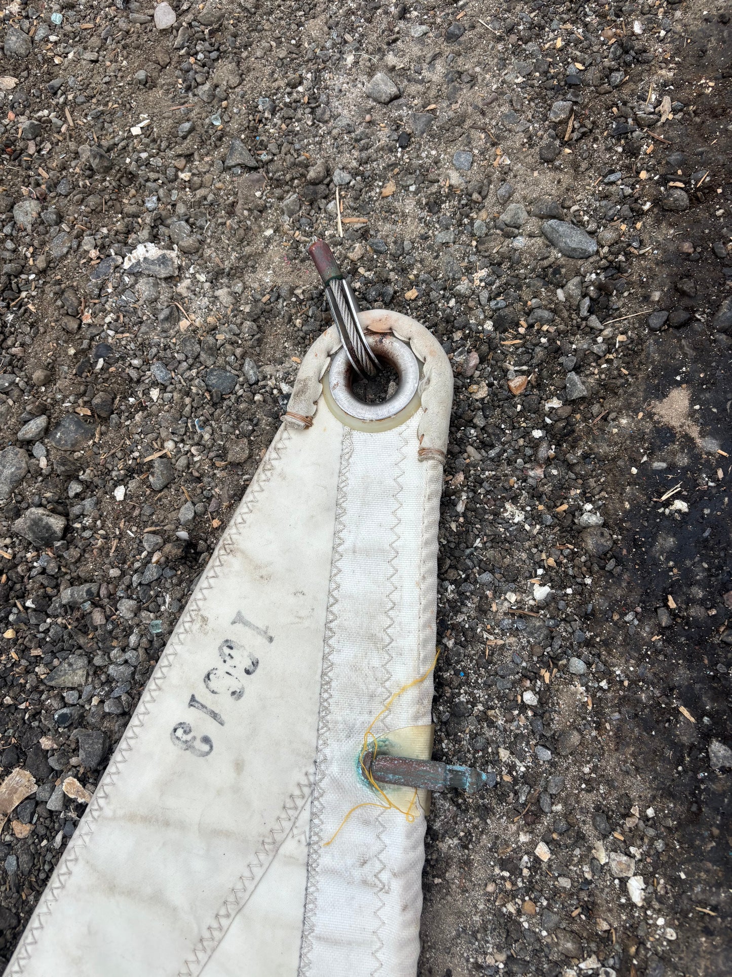 head of oday jib sail