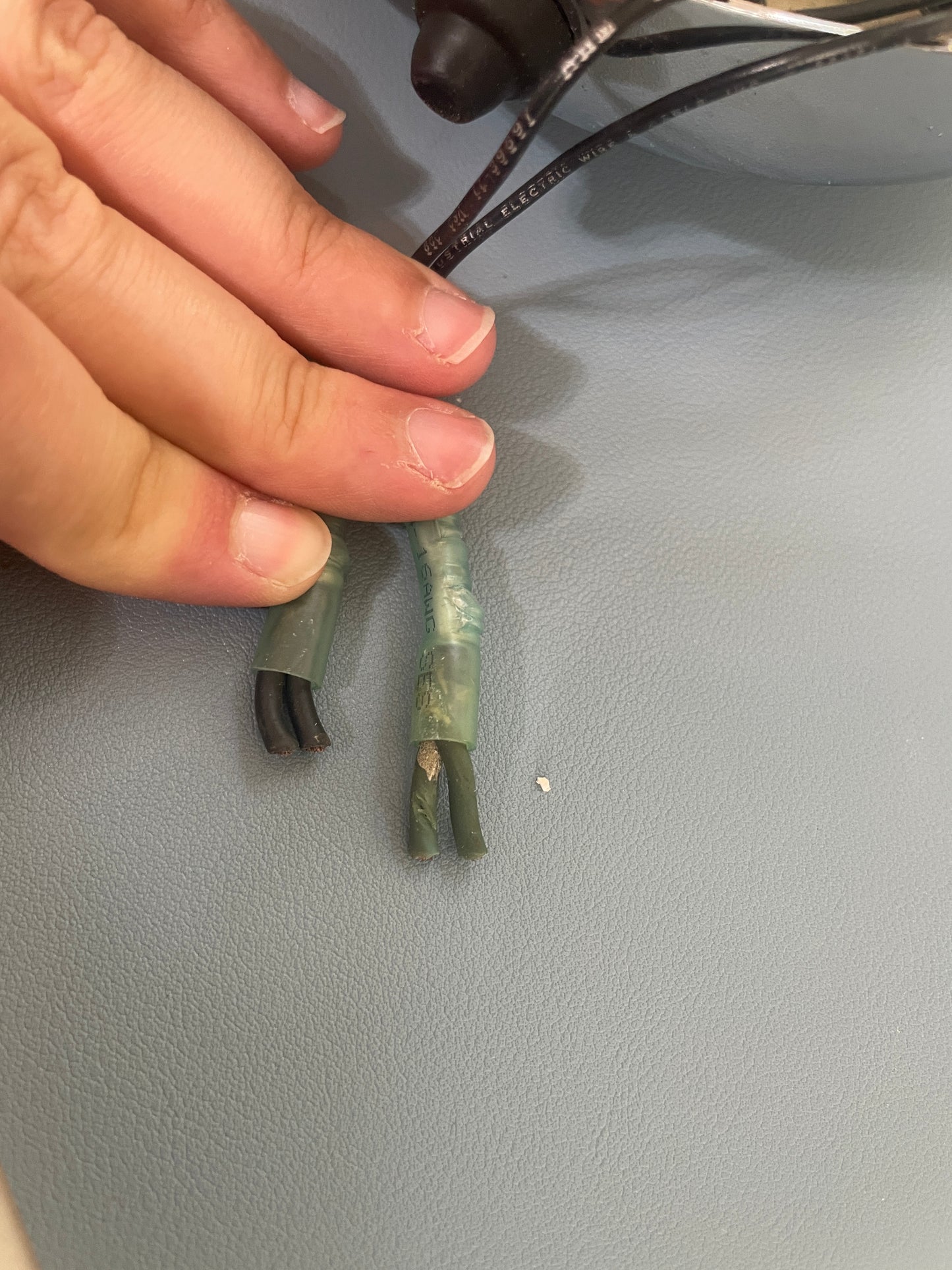 Small green object held by a hand on a gray surface