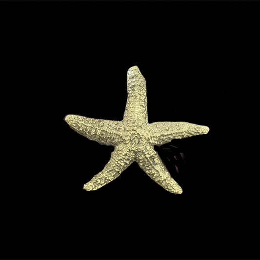 Gold starfish-shaped object on a black background