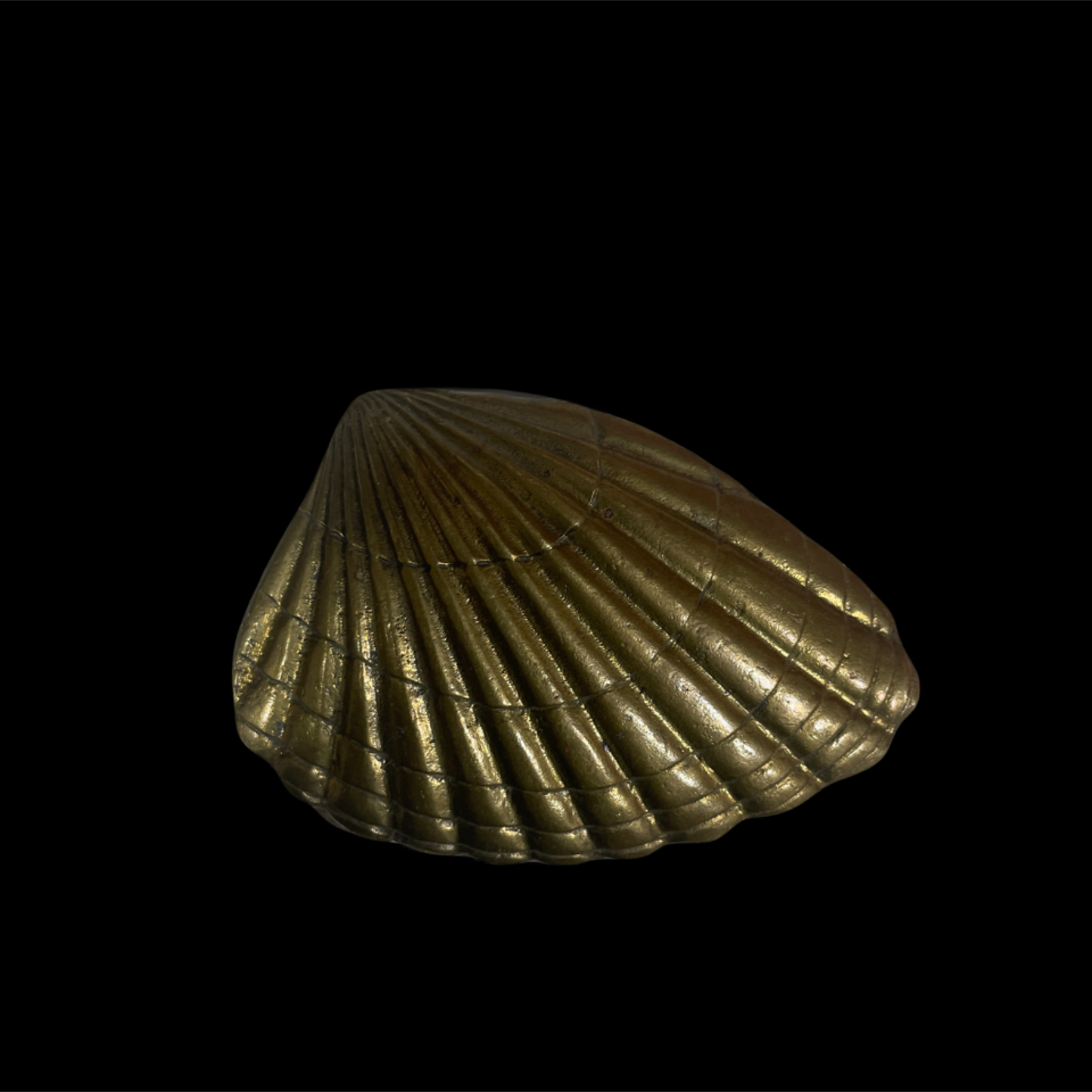 Gold shell-shaped object on a black background