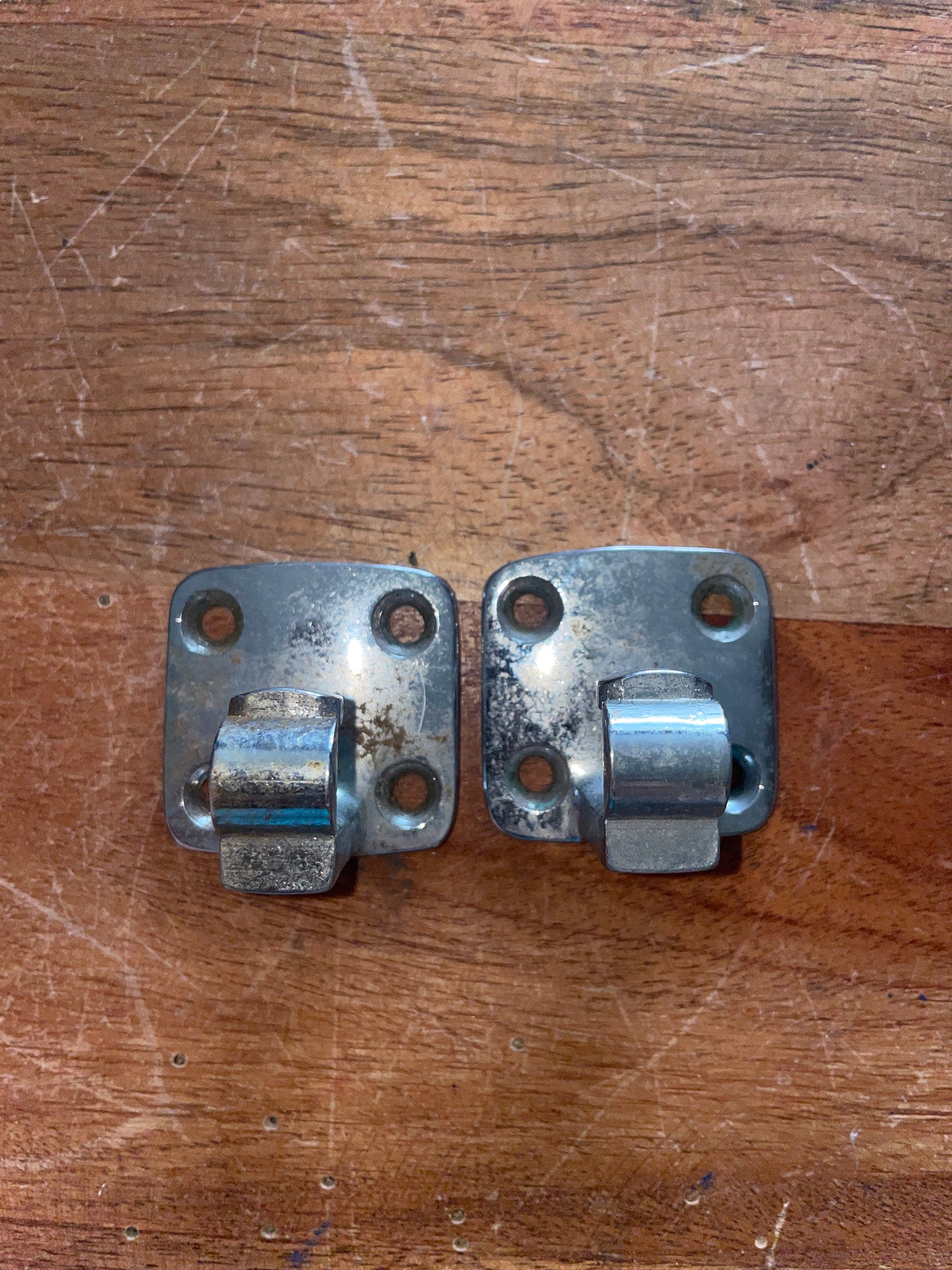PAIR Stainless Steel Latches