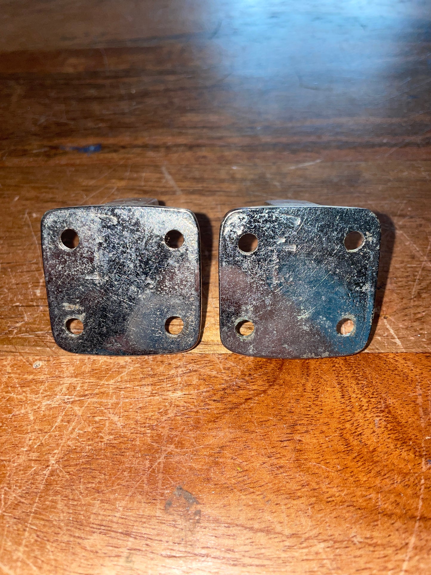 PAIR Stainless Steel Latches