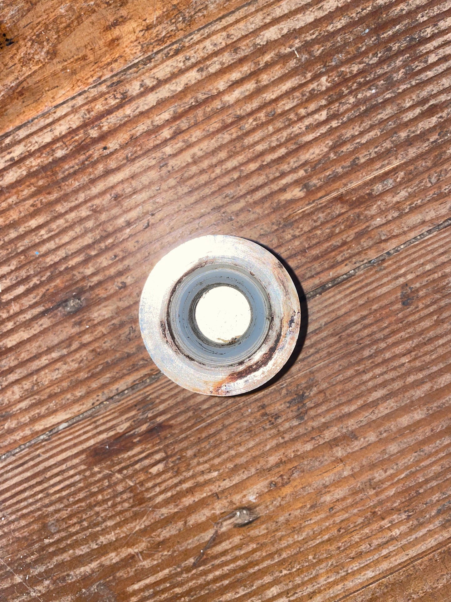 Edson Stainless Steel Wheel Nut- 5/8”