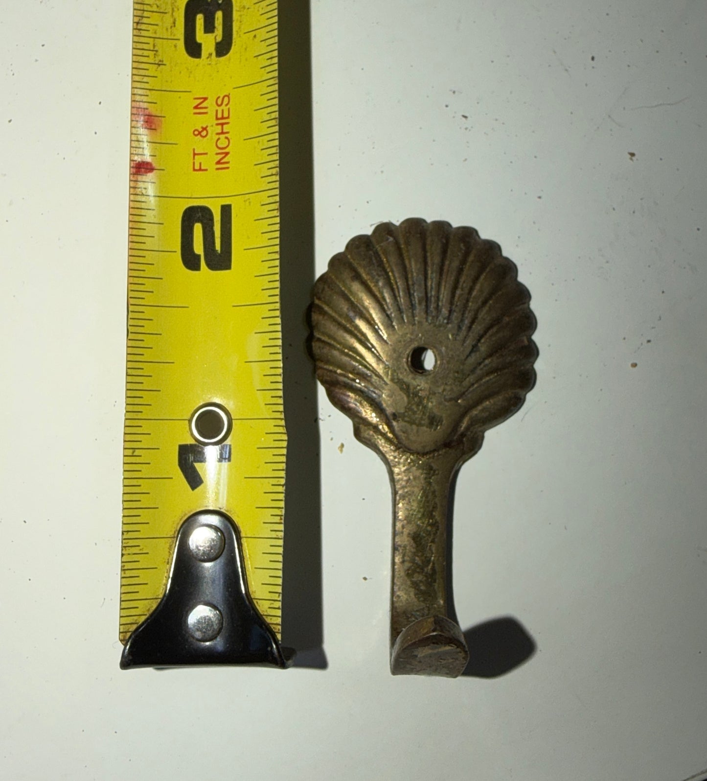 Small Brass Shell Hook