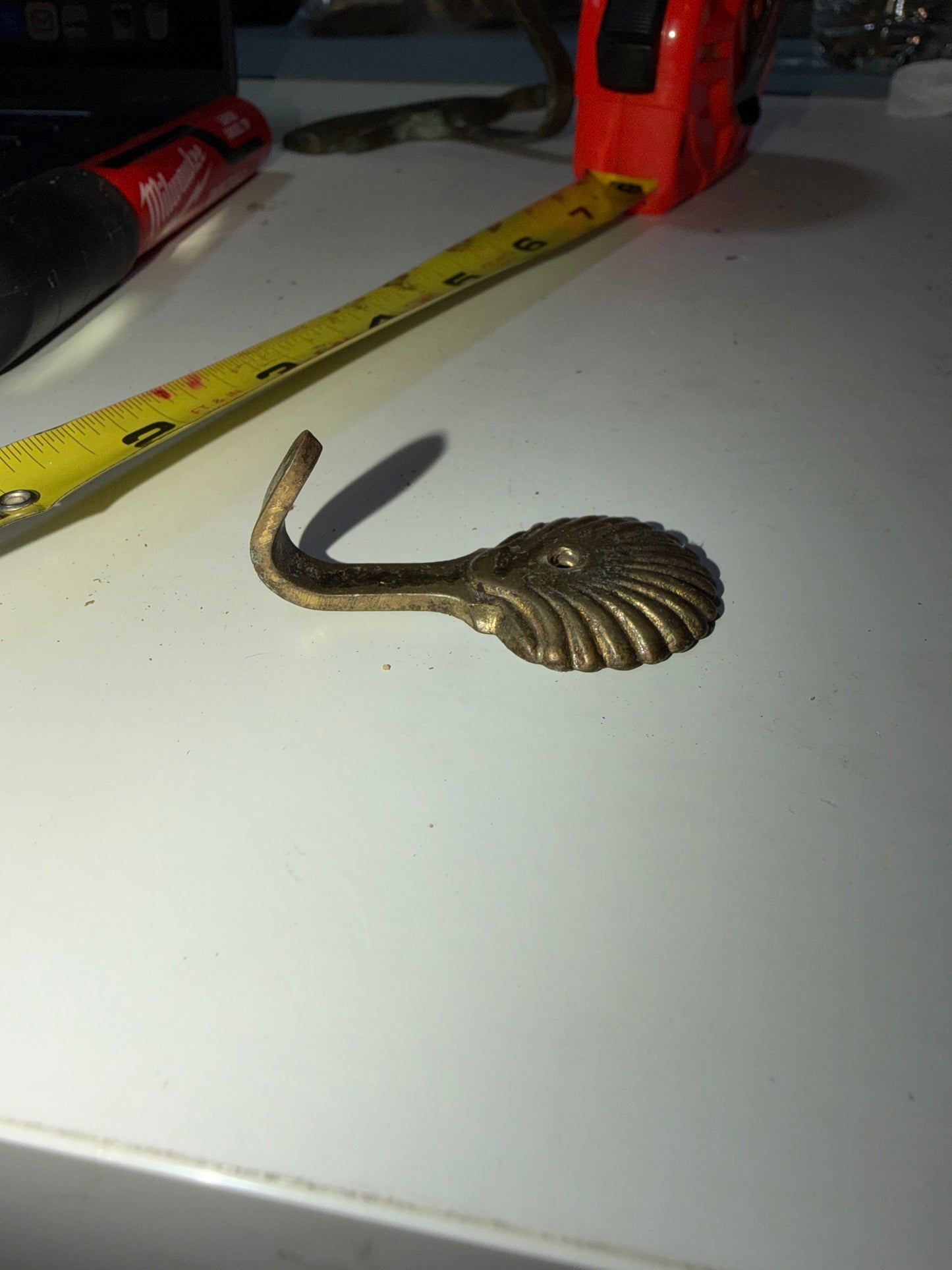 Small Brass Shell Hook