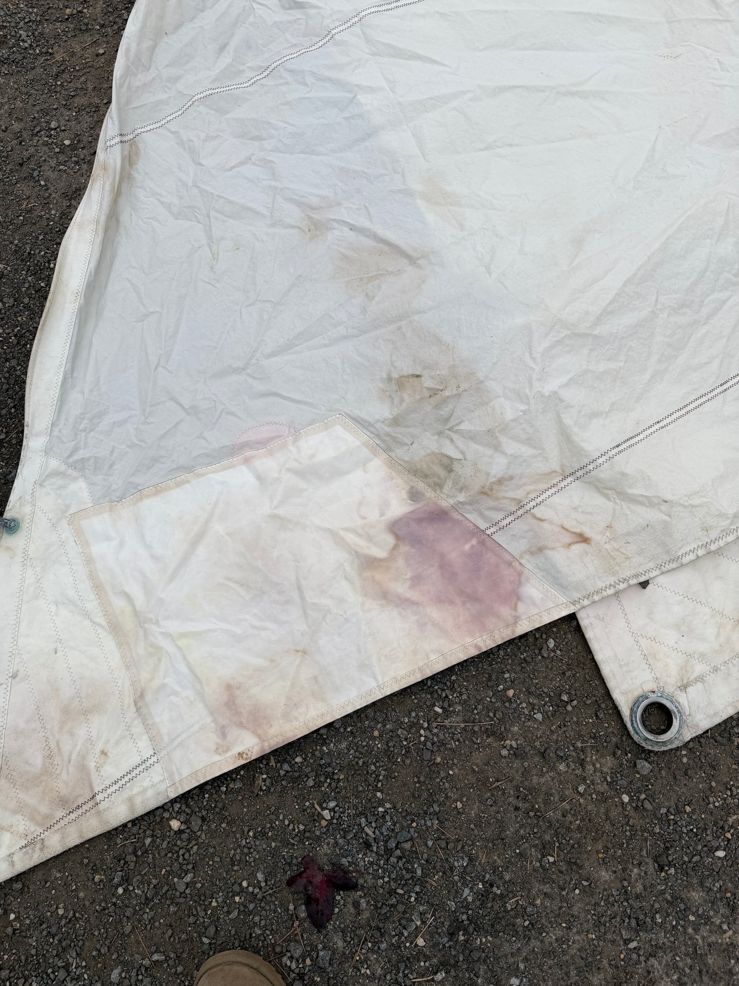 NO 3 Genoa - 25'10" x 14' x 13'10"