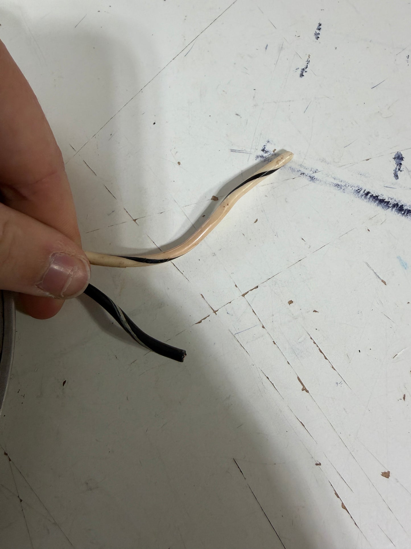 6 7/8" Diameter Interior Light