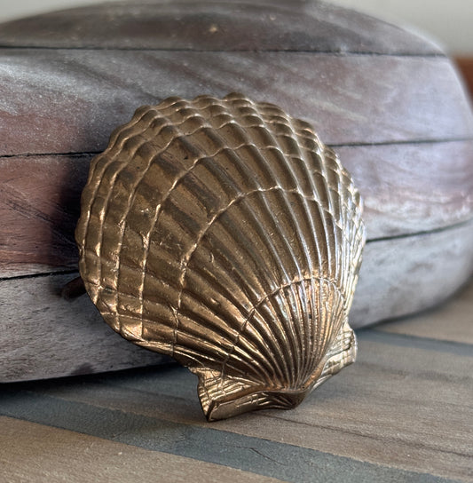 Solid Bronze Seashell Belt Buckle - Made in USA
