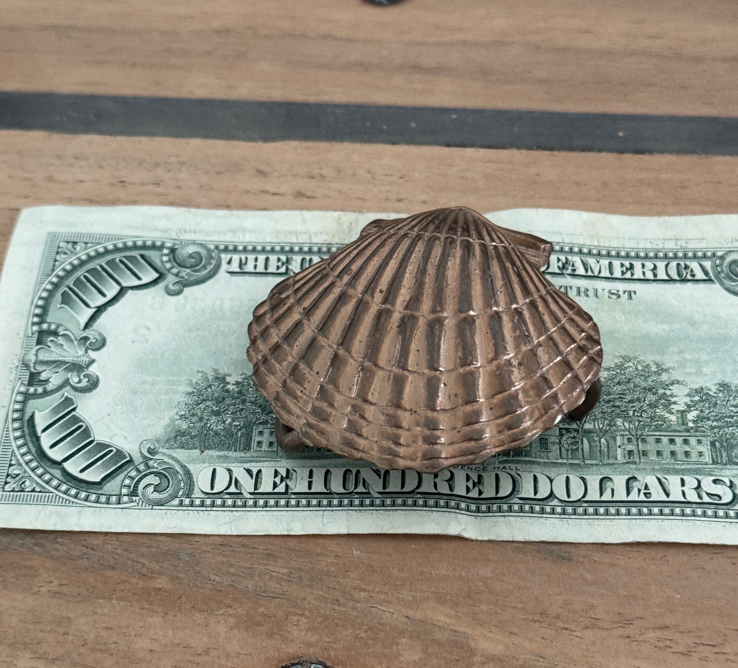 Solid Bronze Seashell Belt Buckle - Made in USA