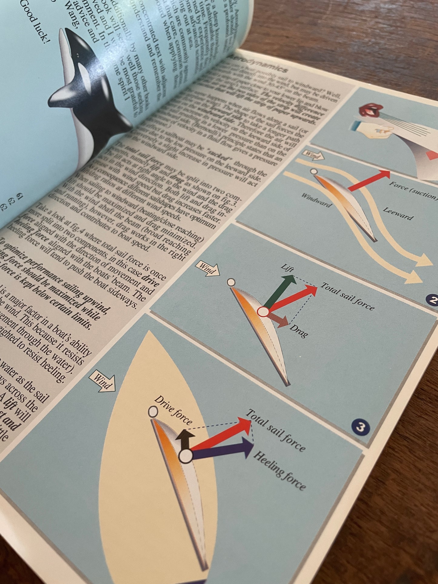 Illustrated Sail & Rig Tuning BY Ivar Dedekam Sailboat Parts