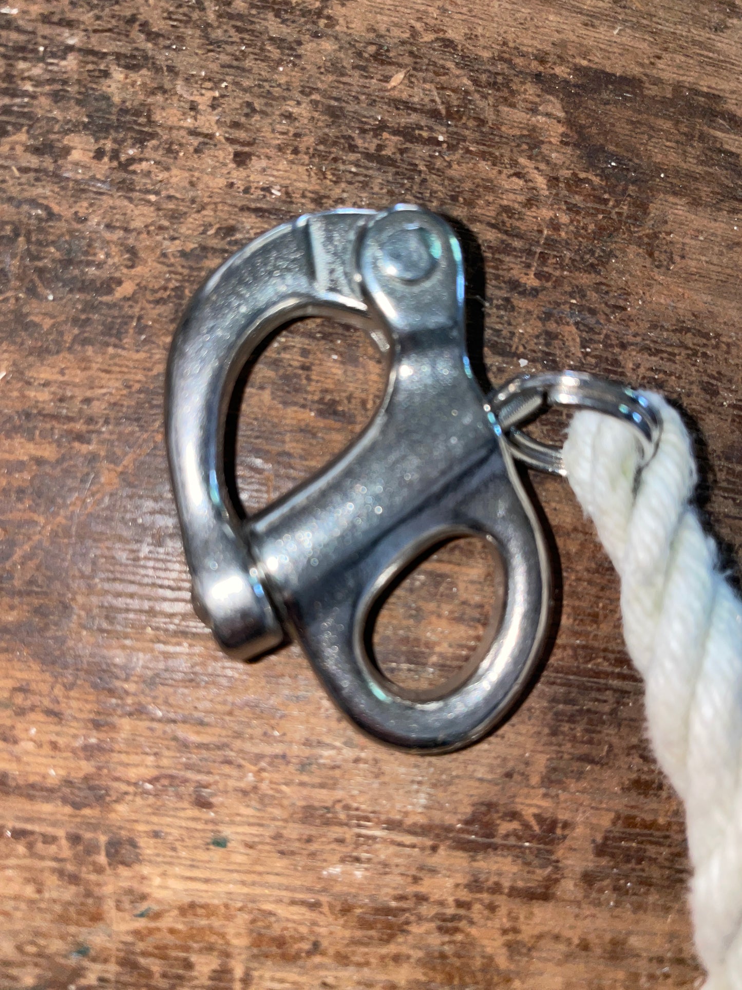 Stainless Steel Fixed Bail 5/8” Shackle