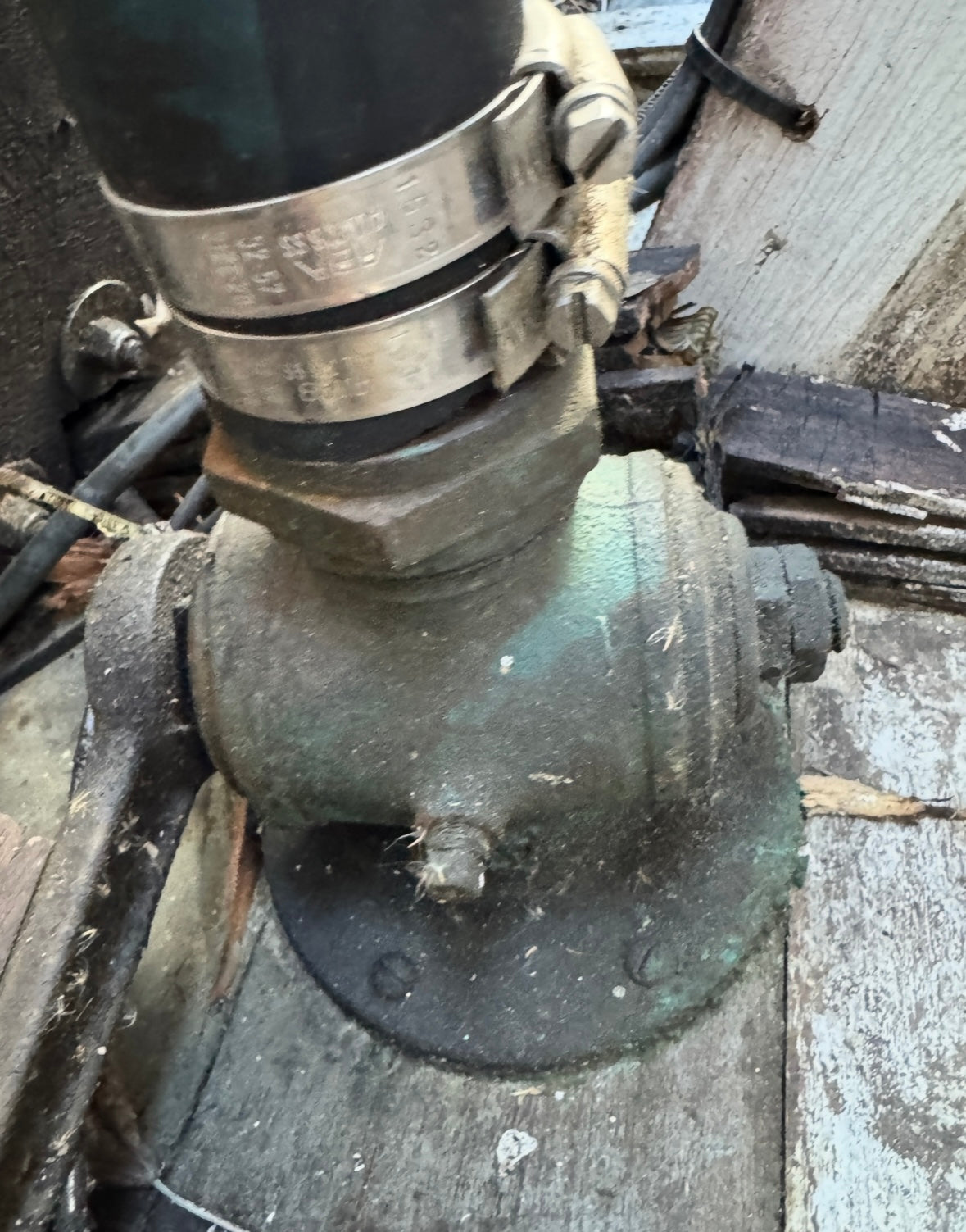 Bronze Large Through Hull - Alden Priscilla 1971