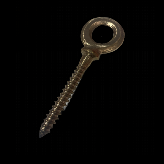 Lag screw close up