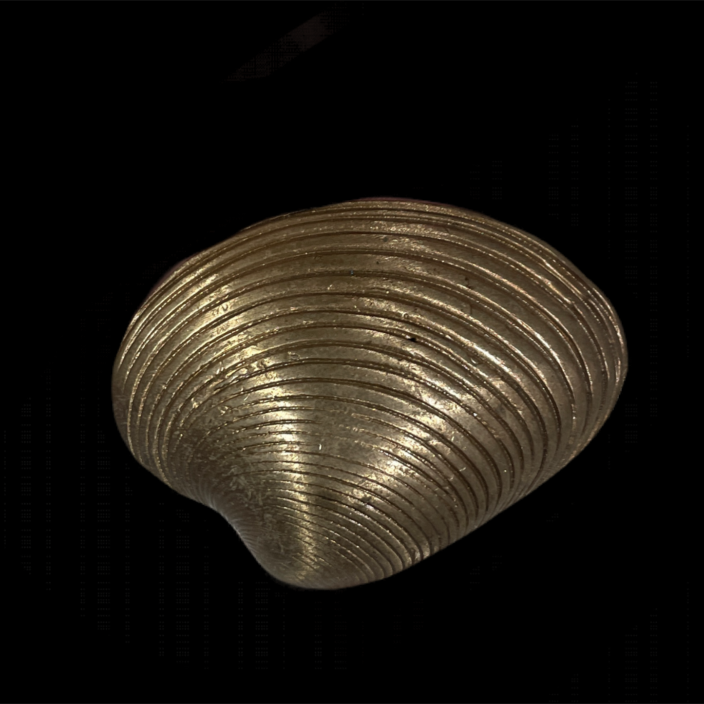 bronze shell drawer pull
