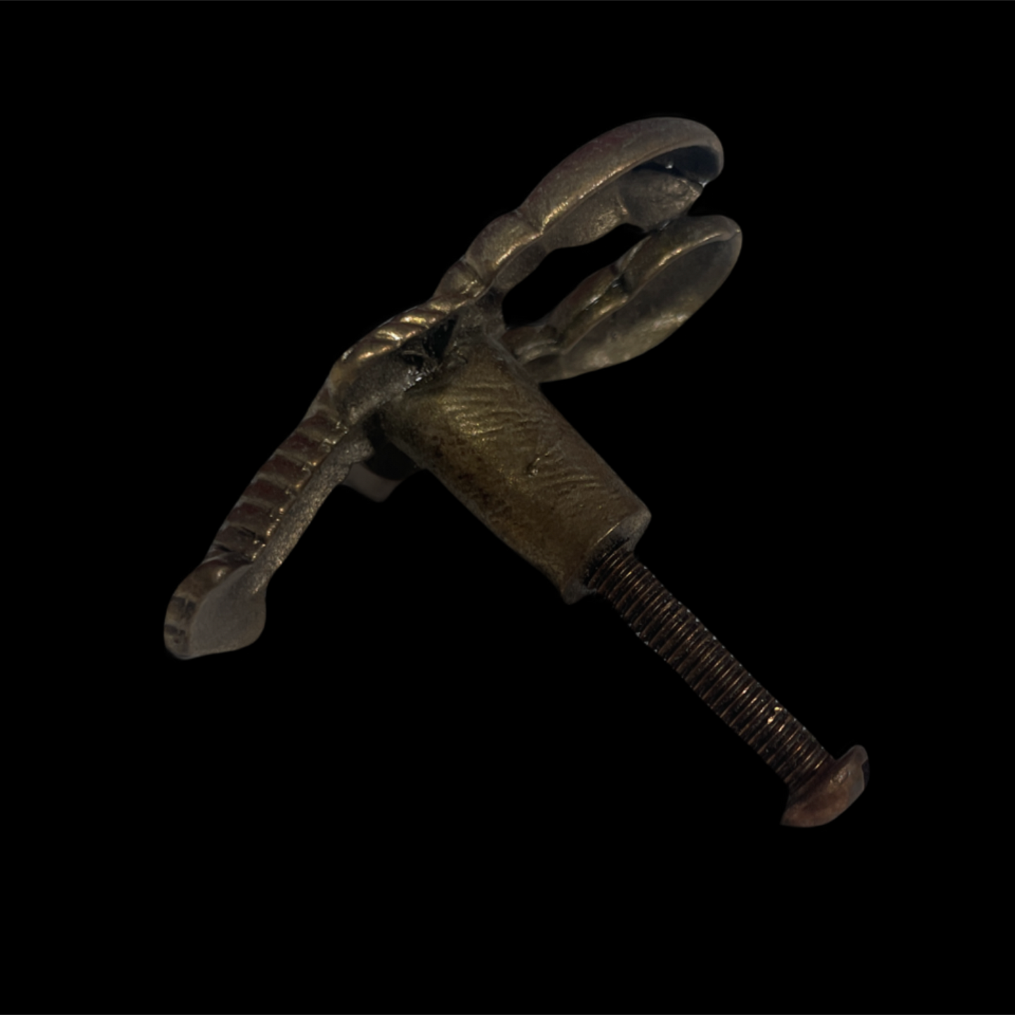 Metallic claw-like object on a black background