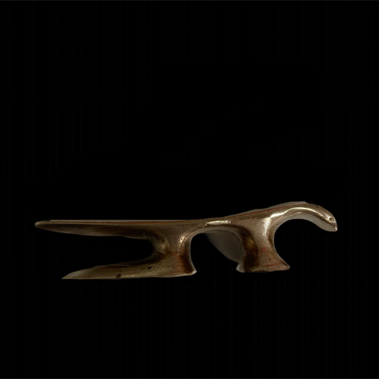 Bronze shoe last on a black background